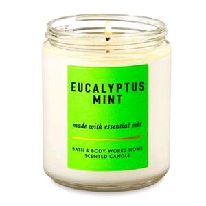 EUCALYPTUS MINT SINGLE WICK CANDLE